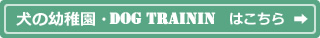 犬の幼稚園・ドッグトレーニングはこちら