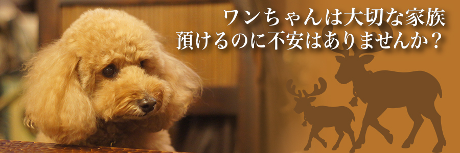 ワンちゃんは大切な家族、預けるのに不安はありませんか?