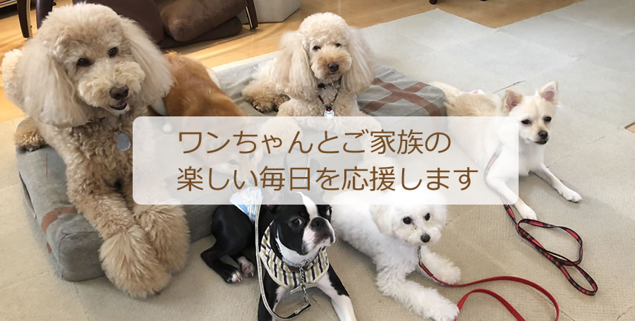 ワンちゃんとご家族の楽しい毎日を応援します